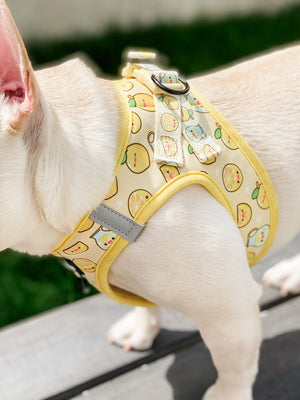 Step-In Dog Harness - Lemonade