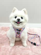 Step-In Dog Harness - Peanut Butter Jelly