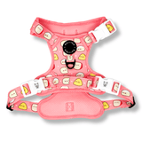 Exploration Lite No-Pull Dog Harness - Cheese