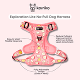 Essential Exploration No-Pull Harness Walk Set - Cheese (3-Piece)