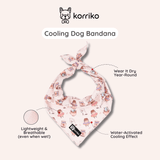 Ultimate Collar Bundle Set - Coffee Break (5-Piece) (Final Sale)