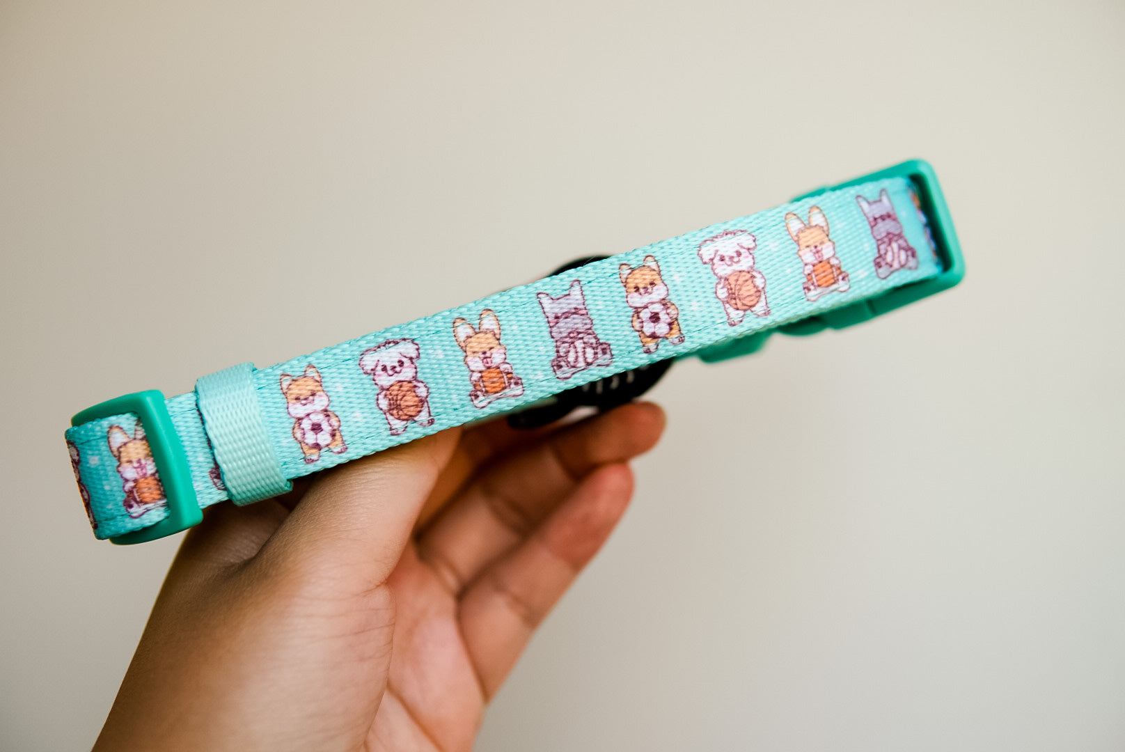 Dog Collar - Dream Team (SECONDS - FINAL SALE)