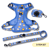 Essential Exploration No-Pull Harness Walk Set - S'mores (3-Piece)