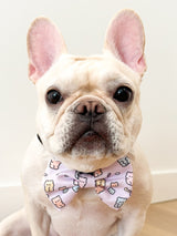 Ultimate Collar Bundle Set - Gummy Bear (5-Piece)