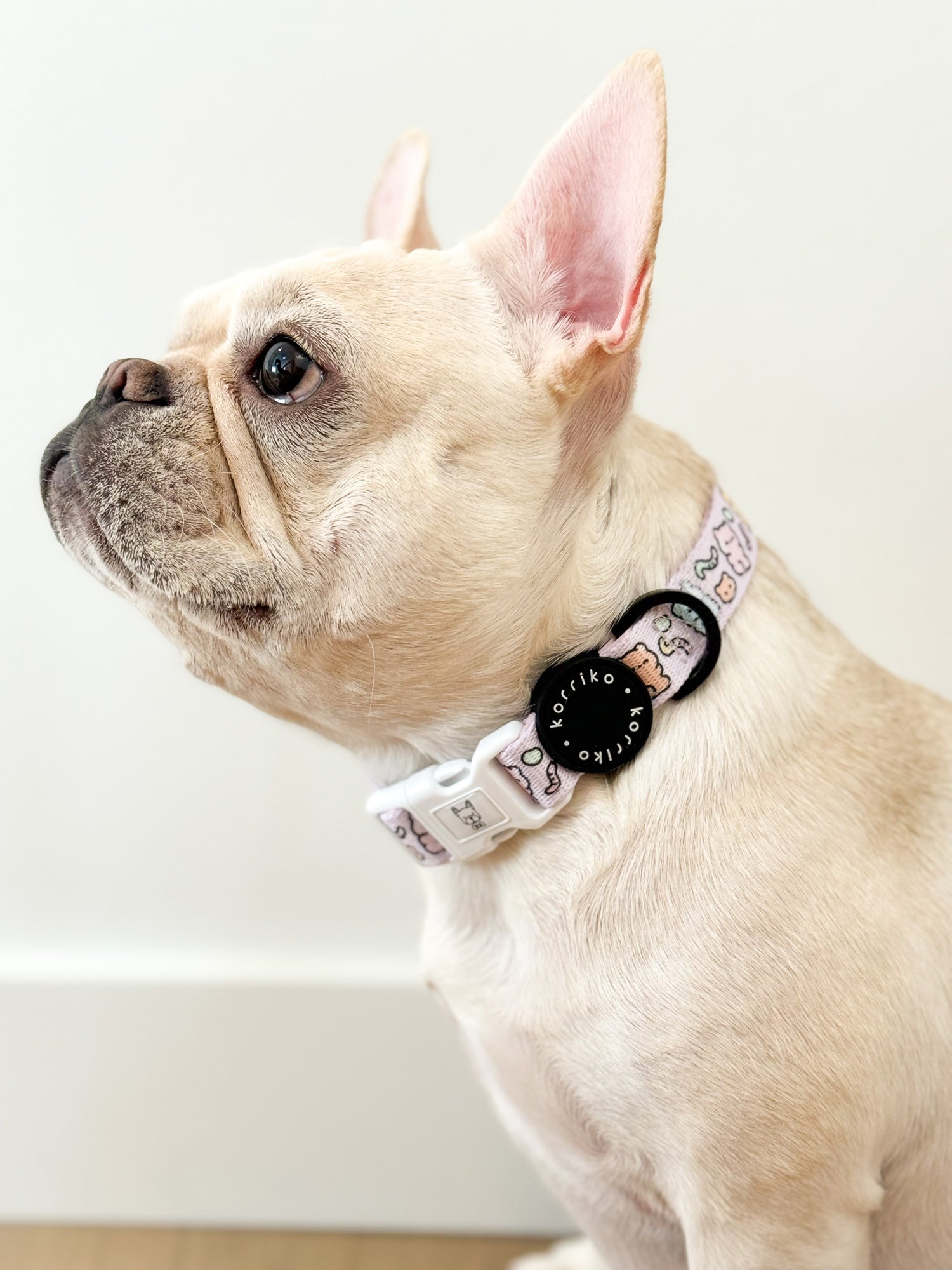 Ultimate Collar Bundle Set - Gummy Bear (5-Piece)