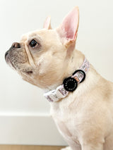 Ultimate Collar Bundle Set - Gummy Bear (5-Piece)