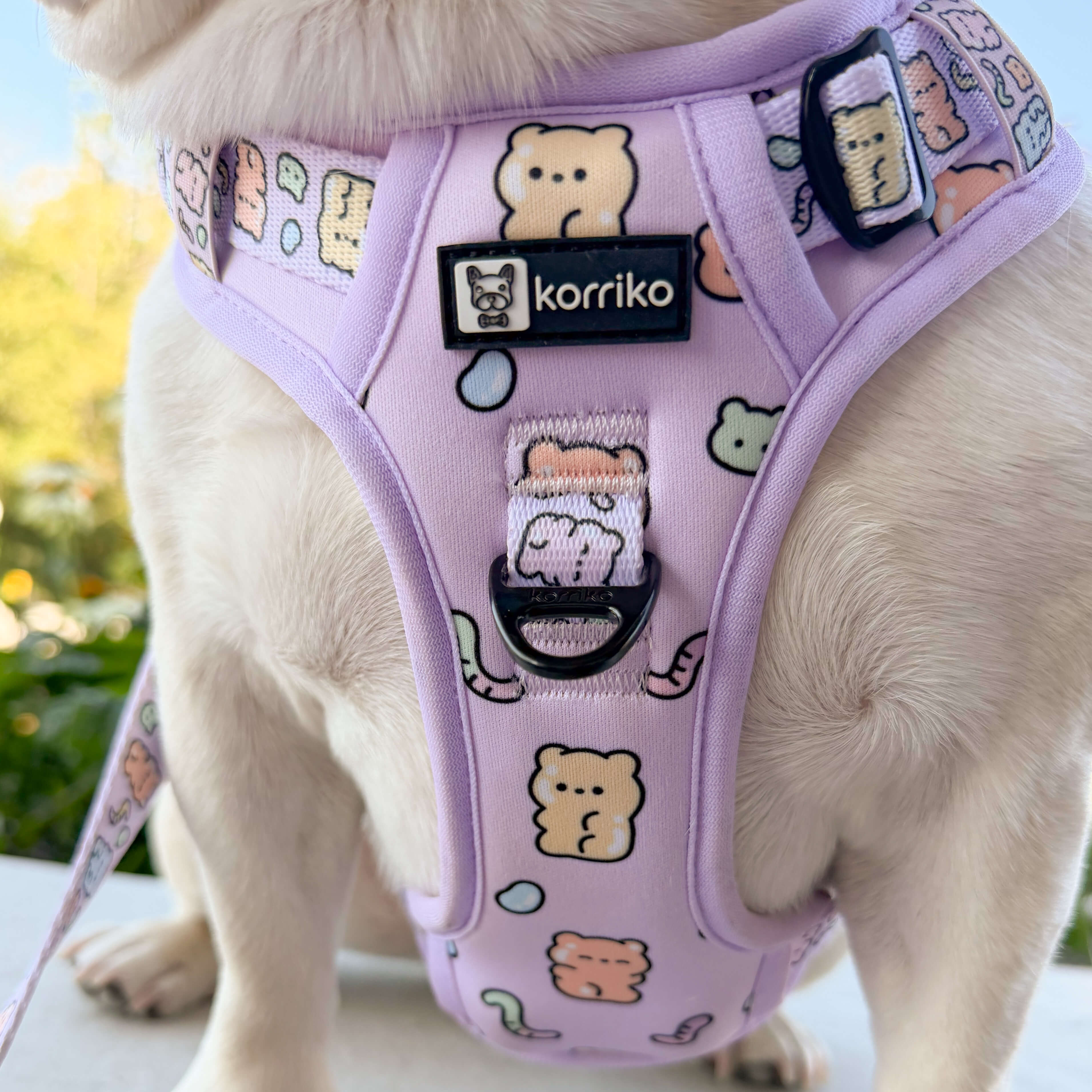 Exploration No-Pull (Step-In) Dog Harness - Gummy Bear