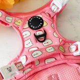 Exploration Lite No-Pull Dog Harness - Cheese