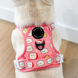 Exploration Lite No-Pull Dog Harness - Cheese