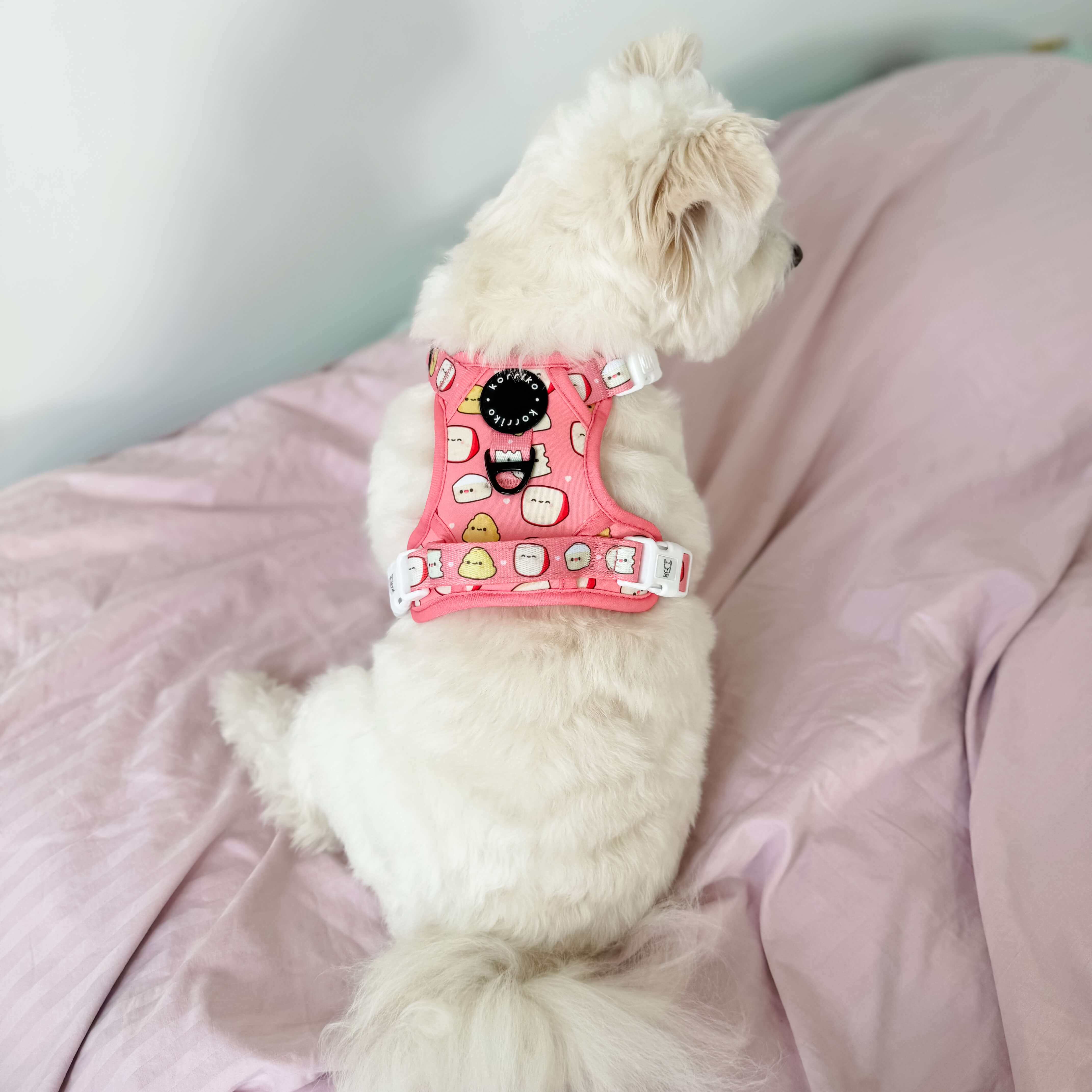 Exploration Lite No-Pull Dog Harness - Cheese