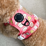 Exploration Lite No-Pull Dog Harness - Cheese