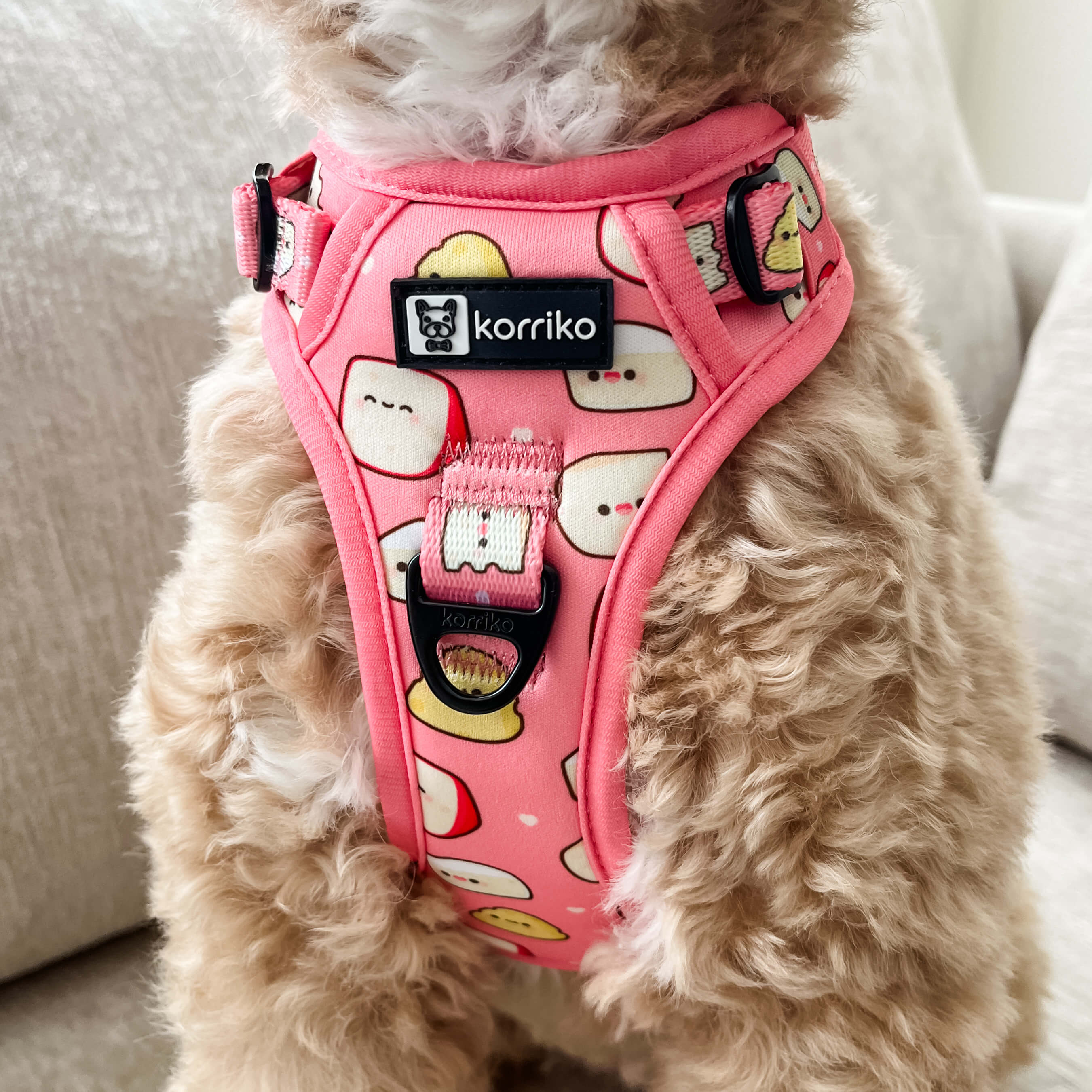 Exploration Lite No-Pull Dog Harness - Cheese