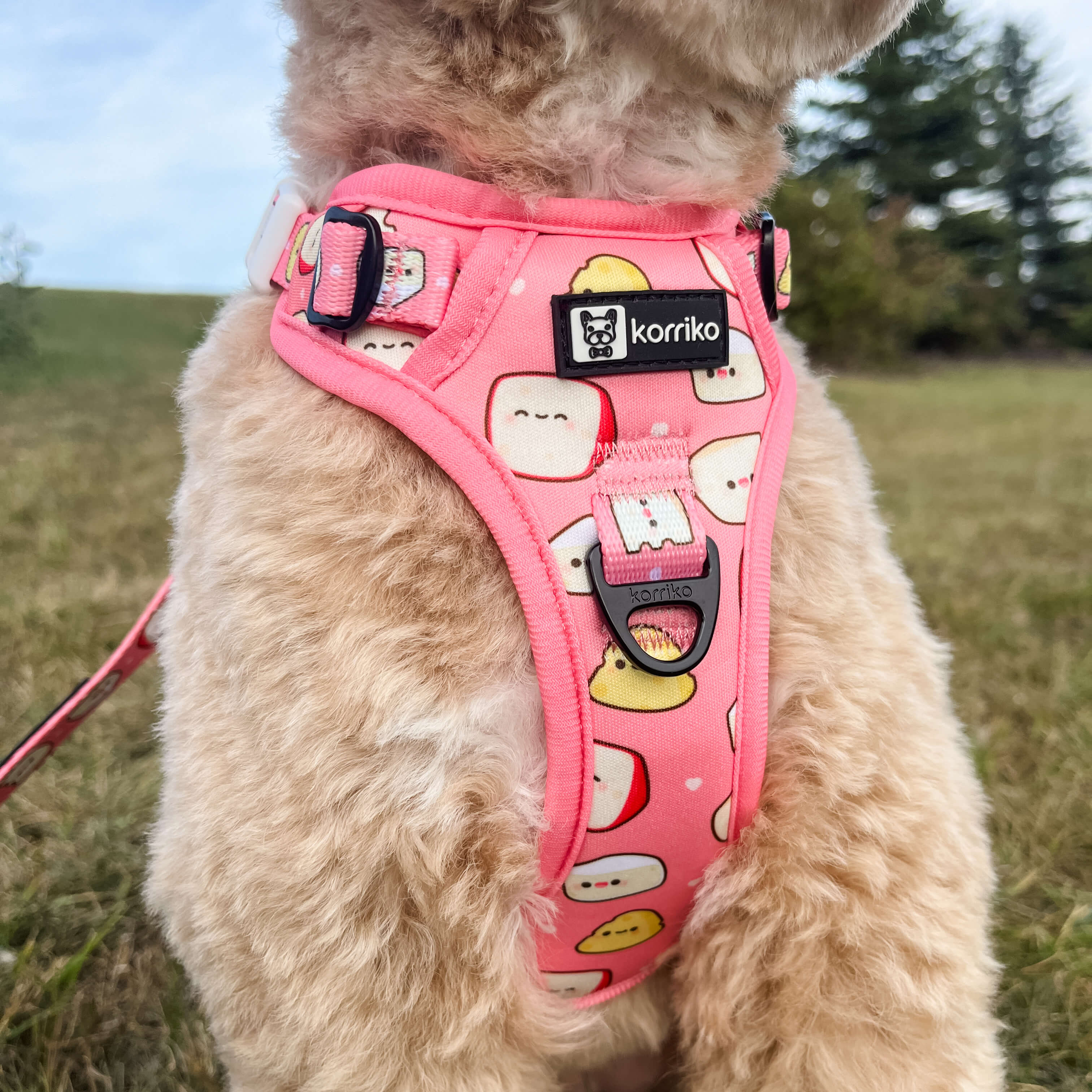 Essential Exploration No-Pull Harness Walk Set - Cheese (3-Piece)