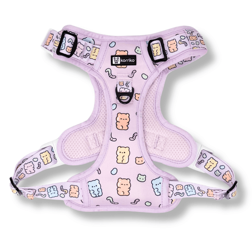 Exploration Lite No-Pull Step-In Dog Harness Lemonade | Korriko