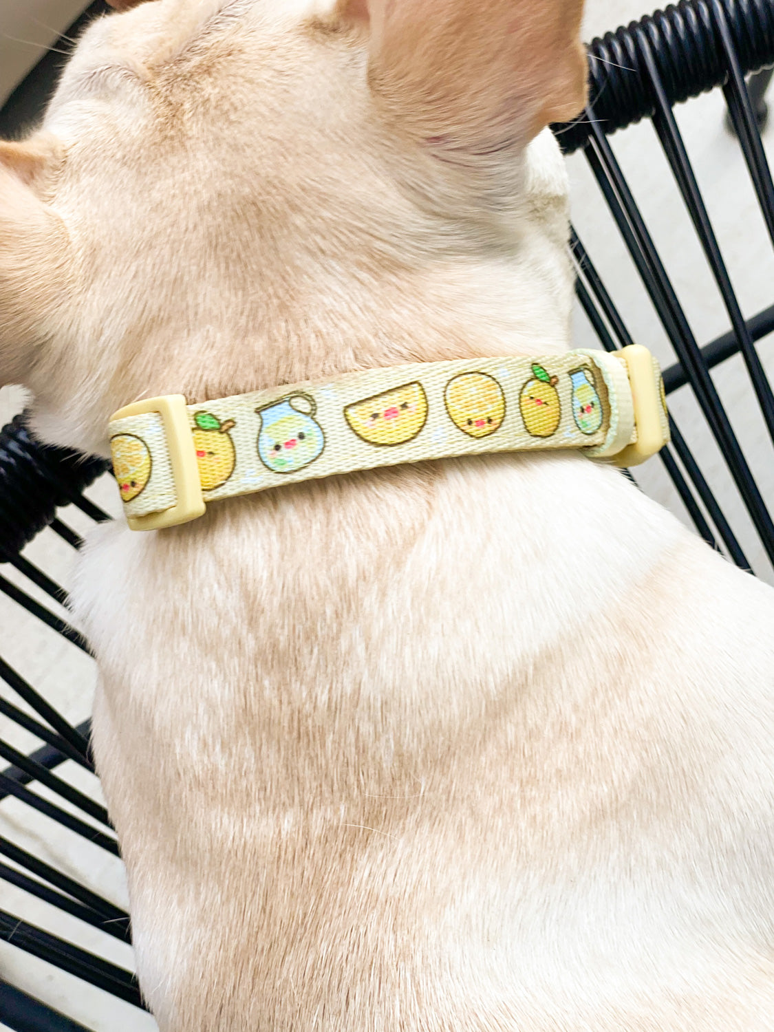 Plaid Dog Collar by Parisian Pet - Khaki