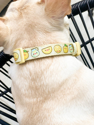 Dog Collar - Lemonade