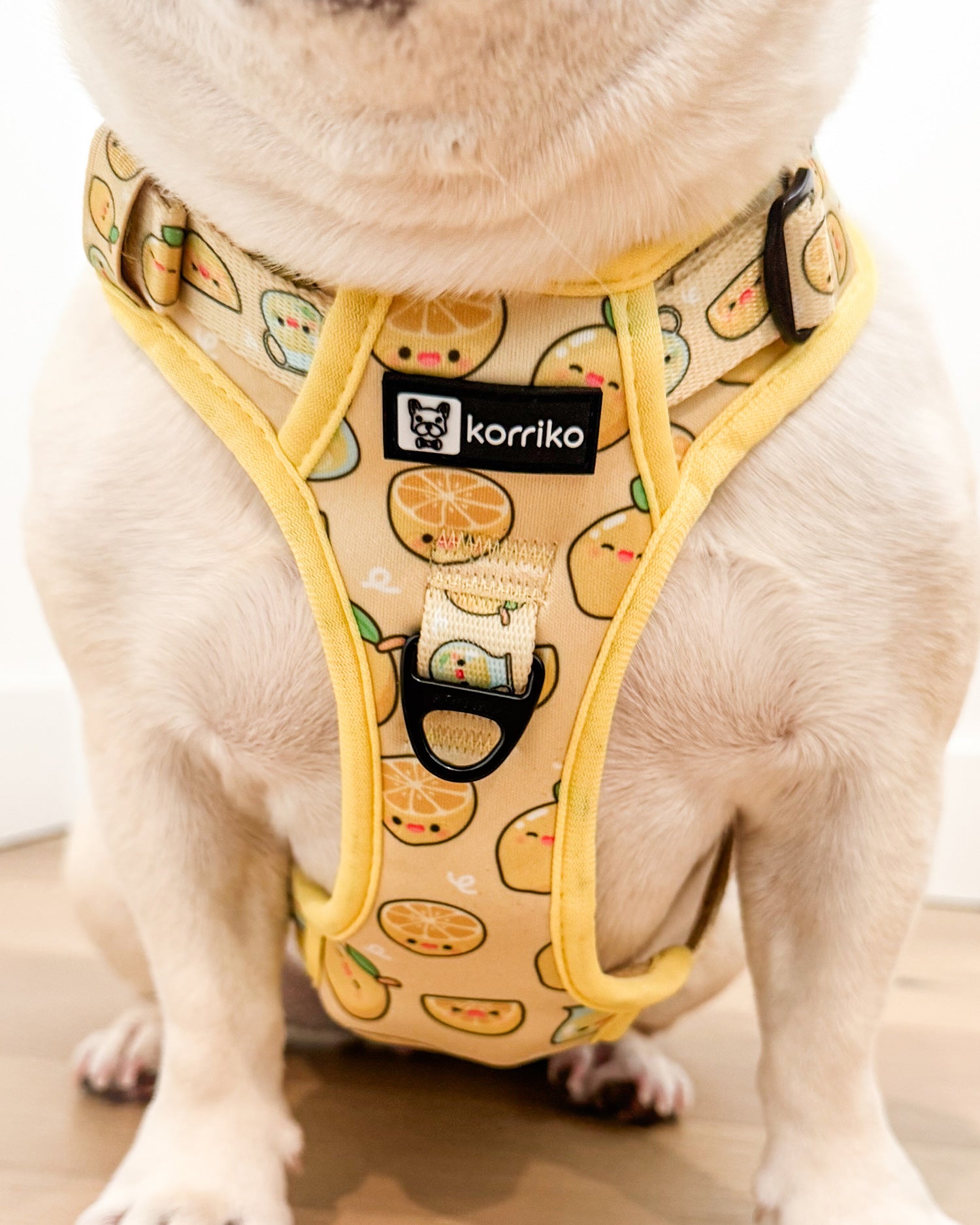 Exploration Lite No-Pull Dog Harness - Lemonade