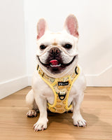 Ultimate Exploration No-Pull Harness Bundle Set - Lemonade (6-Piece)