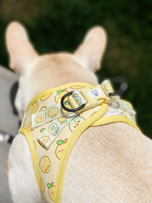 Step-In Dog Harness - Lemonade