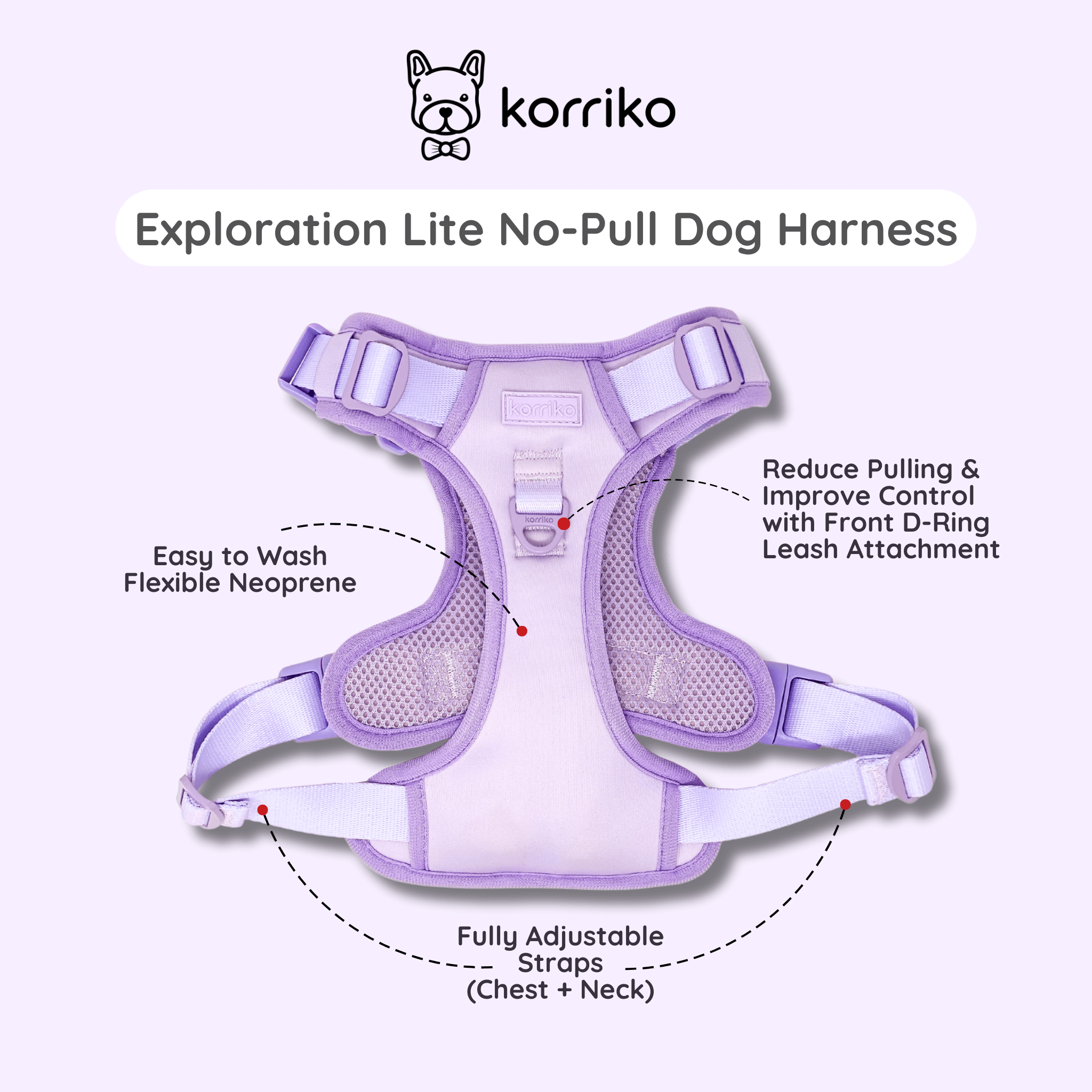 Essential Exploration No-Pull Harness Walk Set - Lilac (3-Piece) (Final Sale)