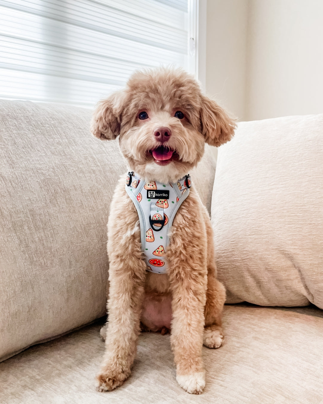 Ultimate Exploration No-Pull Harness Bundle Set - Pizza (4-Piece)