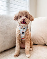 Ultimate Exploration No-Pull Harness Bundle Set - Pizza (4-Piece)