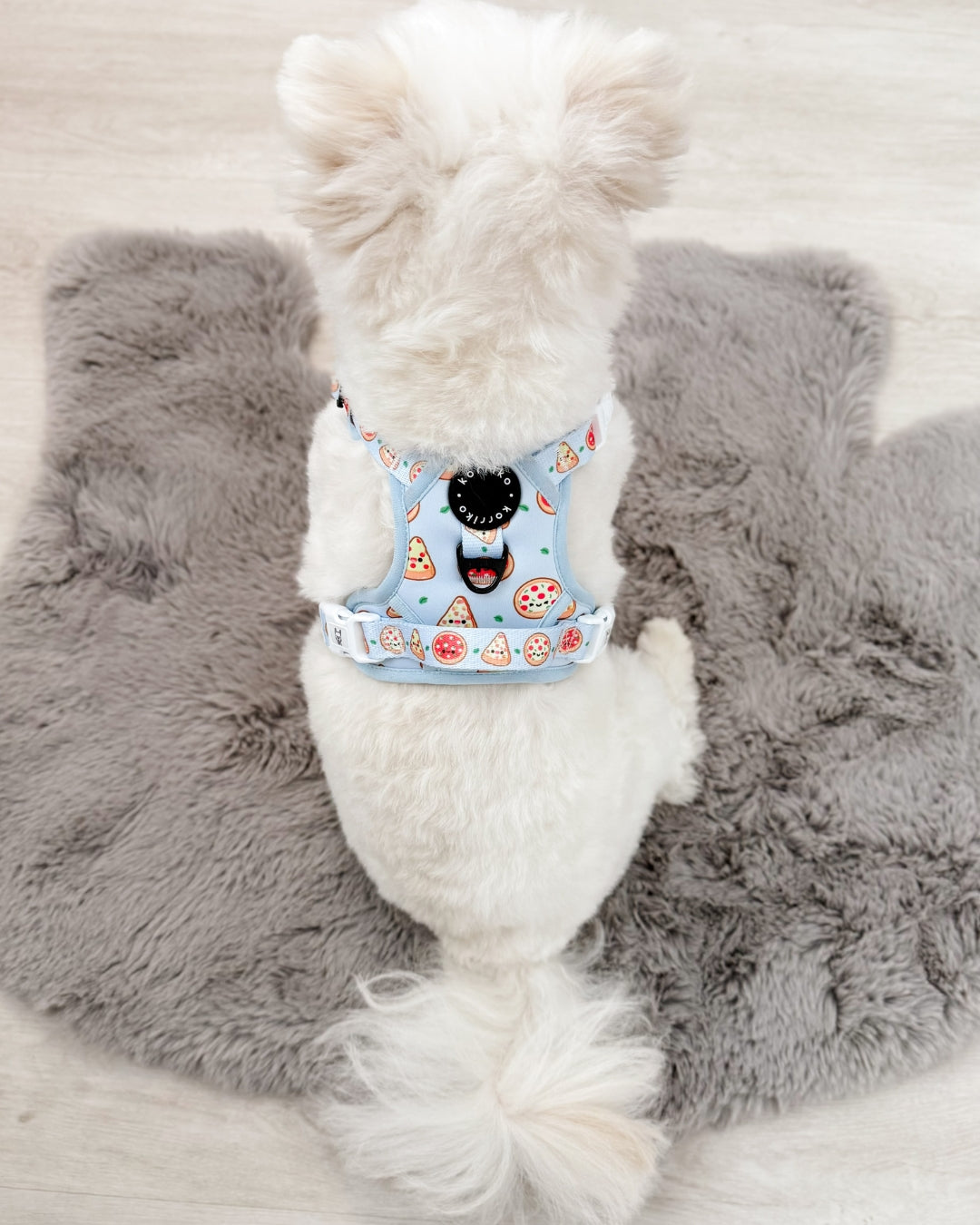 Ultimate Exploration No-Pull Harness Bundle Set - Pizza (4-Piece)