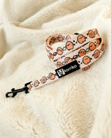 Essential Step-In Harness Walk Set - Potato (3-Piece)