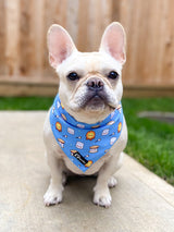 Ultimate Exploration No-Pull Harness Bundle Set - S'mores (6-Piece)