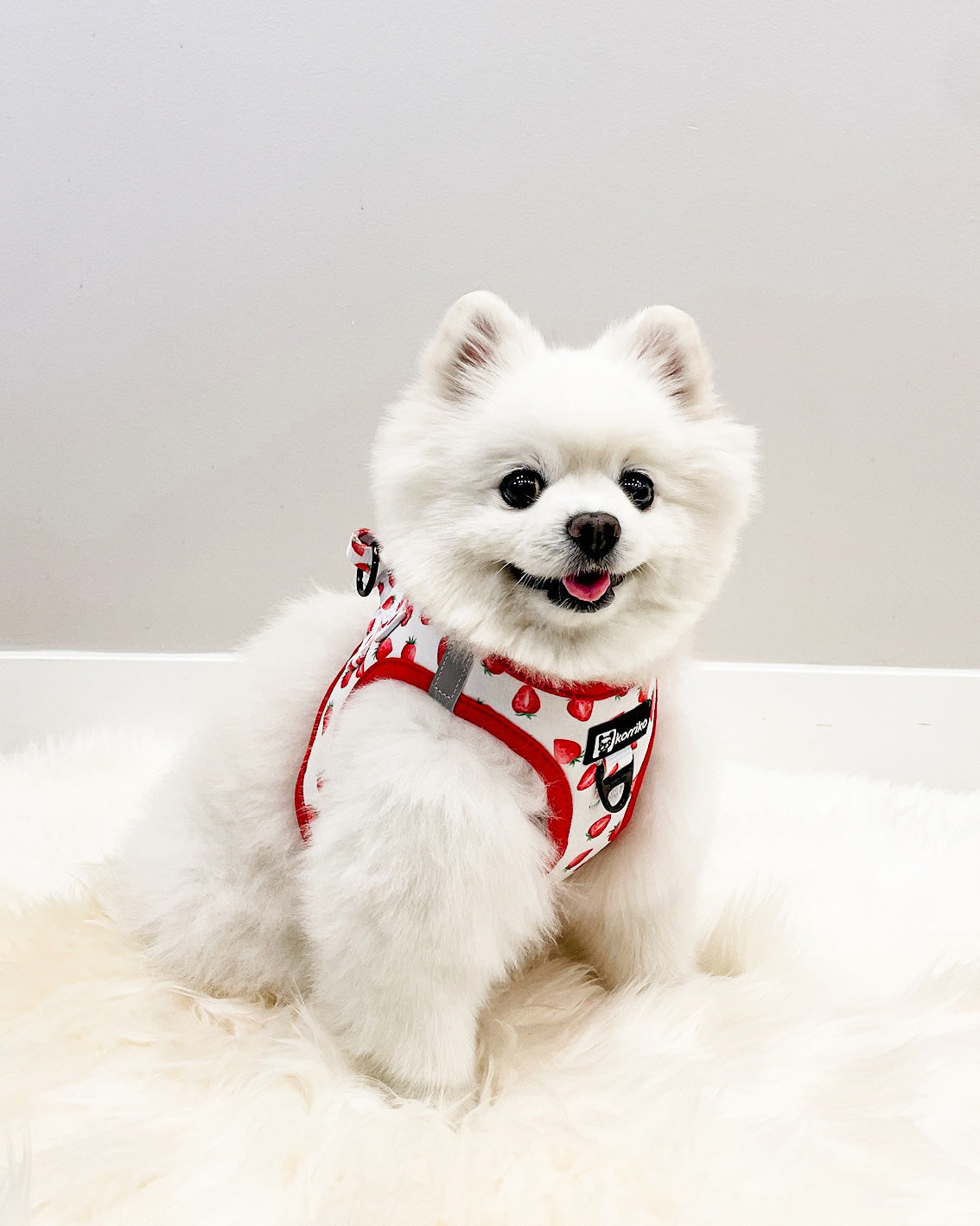 Step-In Dog Harness - Strawberries & Cream