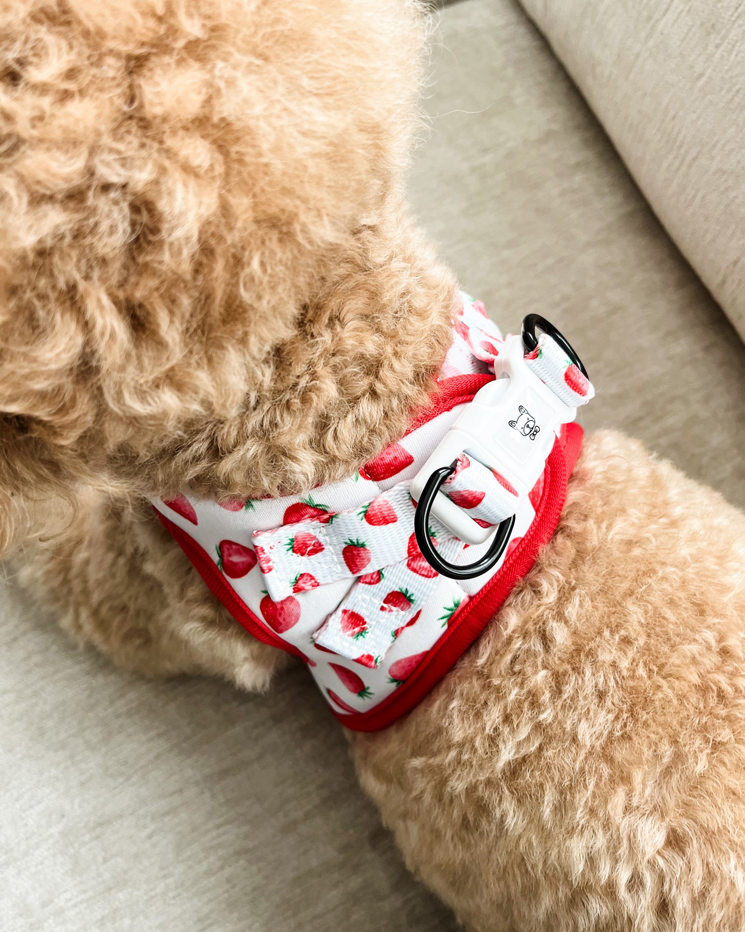 Step-In Dog Harness - Strawberries & Cream