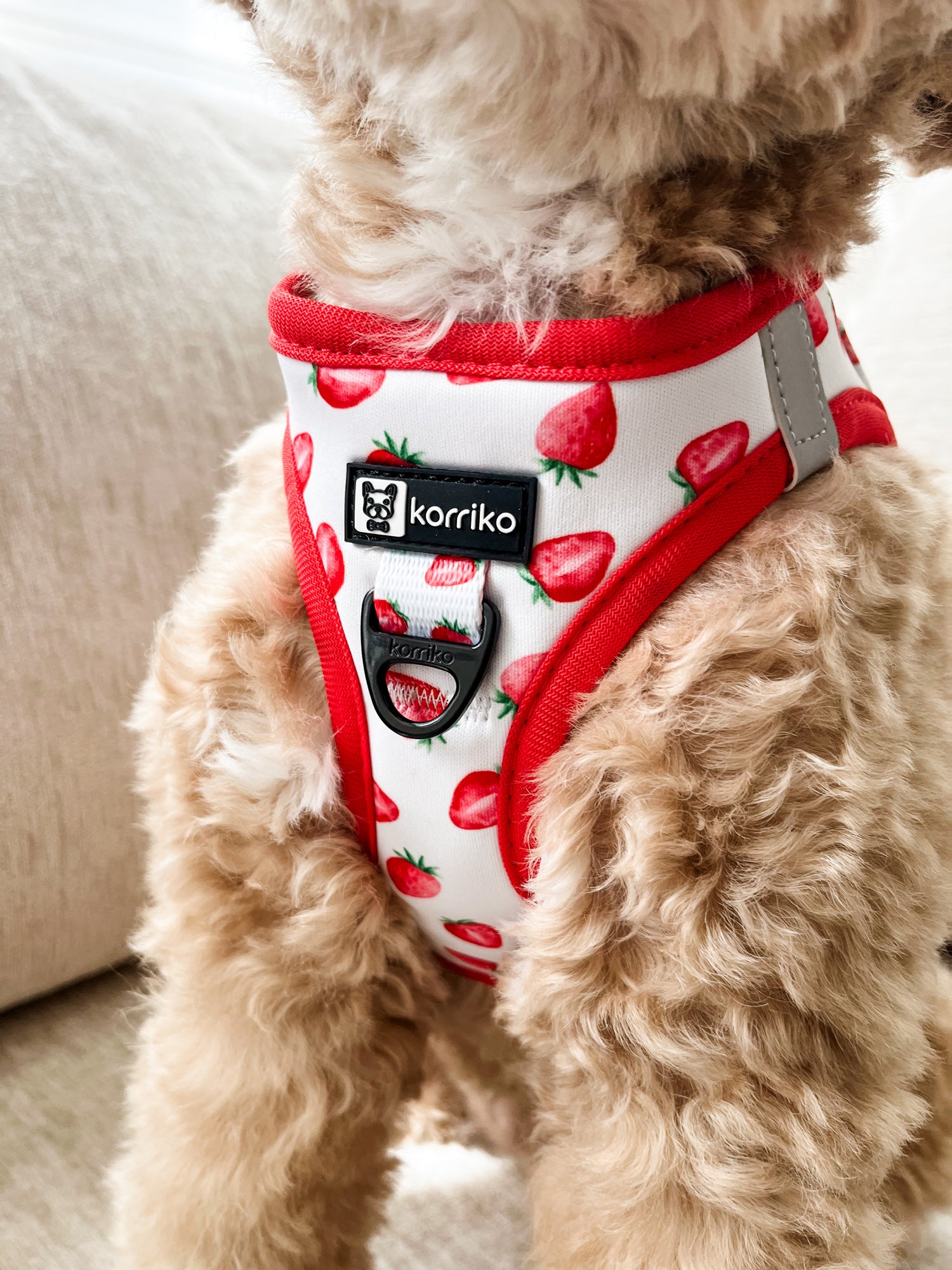 Step-In Dog Harness - Strawberries & Cream