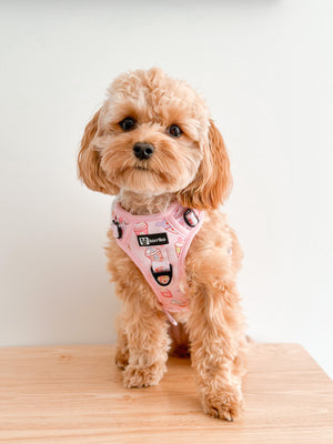 Exploration Lite No-Pull Dog Harness - Taro Milk Tea