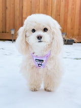 Step-In Dog Harness - Peanut Butter Jelly