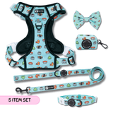 Ultimate Exploration No-Pull Harness Bundle Set - Sushi (5-Piece)