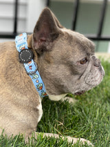 Ultimate Adjustable Harness Bundle Set - Under The Sea (6-Piece)