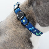 Ultimate Collar Bundle Set - Dino (5-Piece)