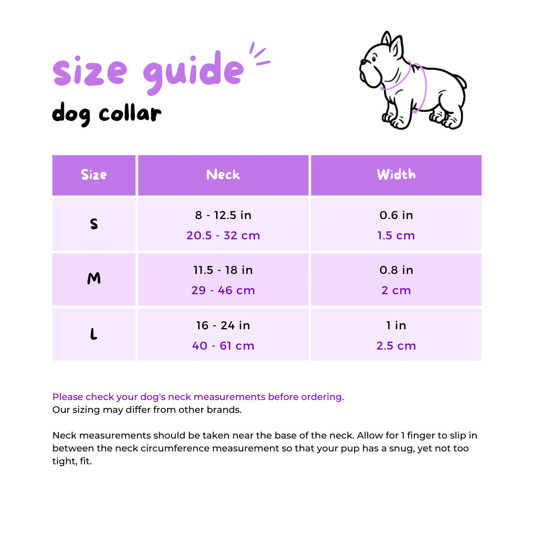 Ultimate Collar Bundle Set - Dino (5-Piece)