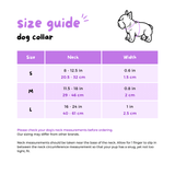 Ultimate Collar Bundle Set - Dino (5-Piece)