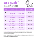 Essential Step-In Harness Walk Set - Over The Rainbow (3-Piece)