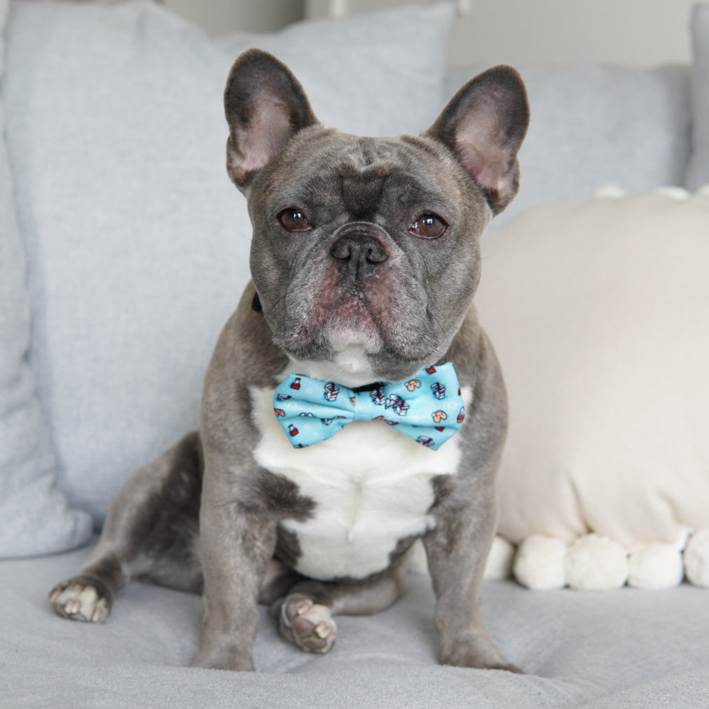 Ultimate Step-In Harness Bundle Set - Adorabao (3-Piece)