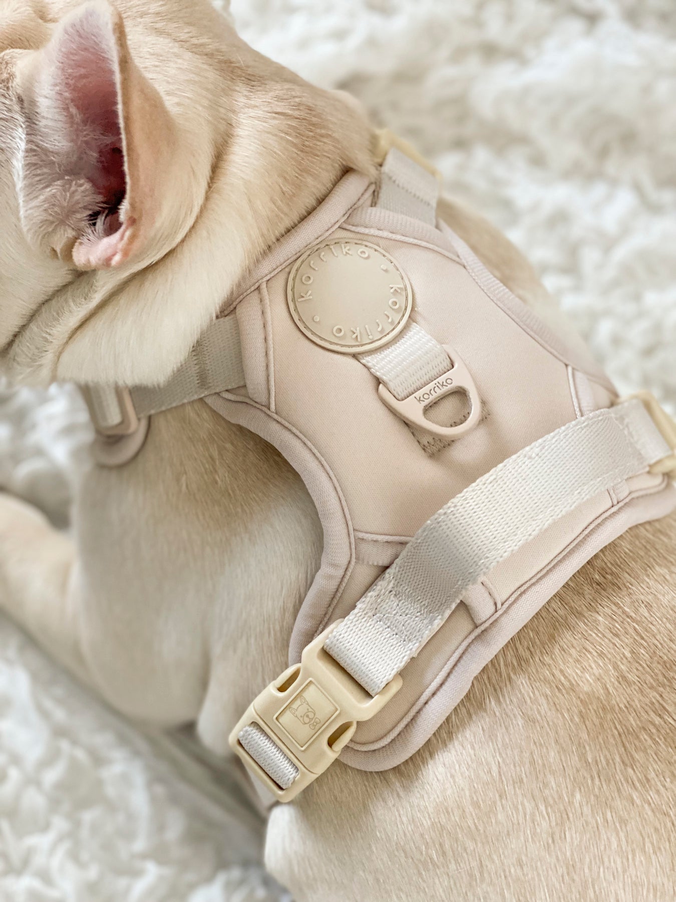 Exploration Lite No-Pull Dog Harness - Almond Nude (Final Sale)