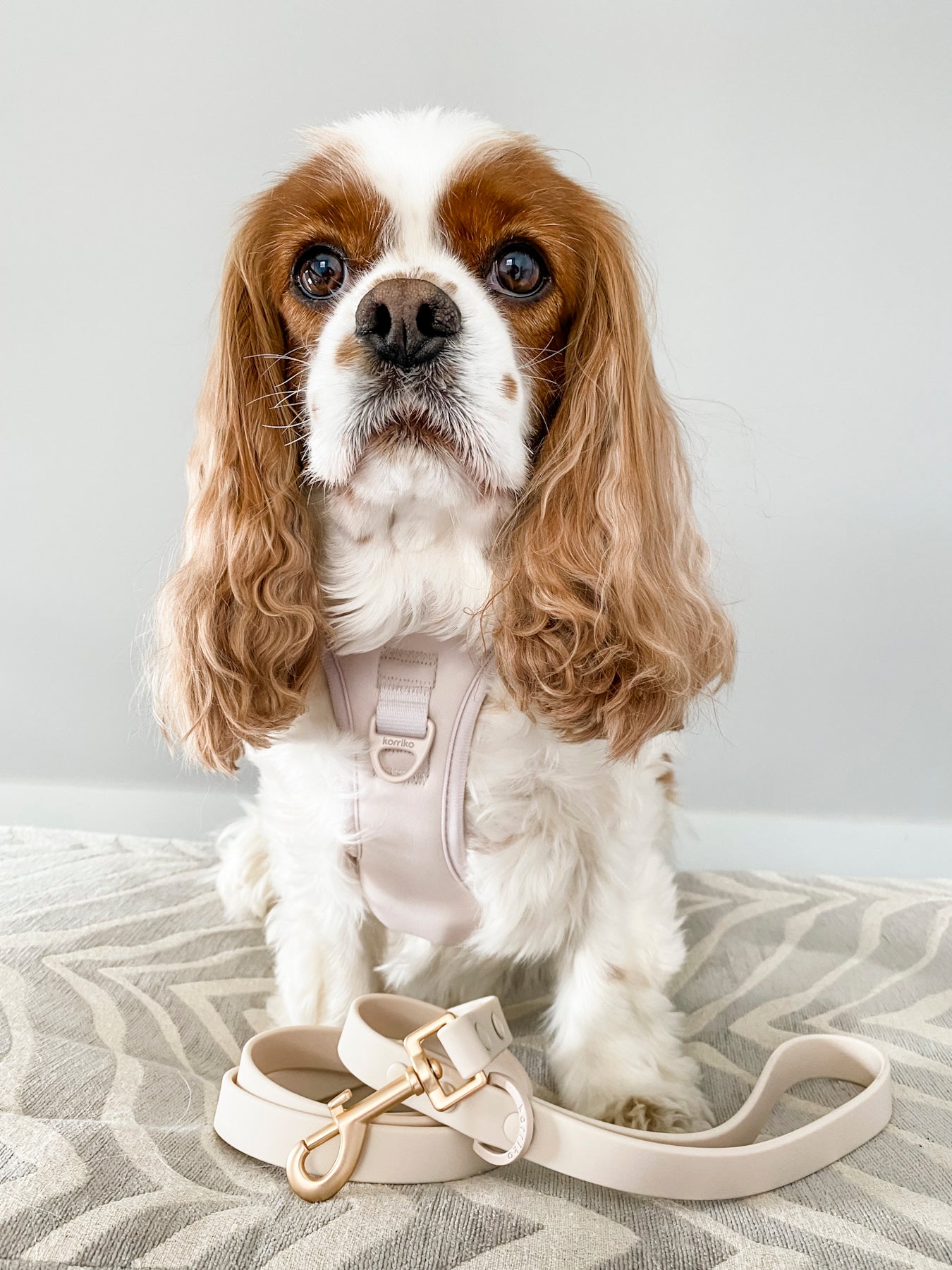 Exploration Lite No-Pull Dog Harness - Almond Nude (Final Sale)