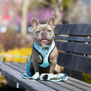 Reversible Dog Harness - Pupflix (Final Sale)