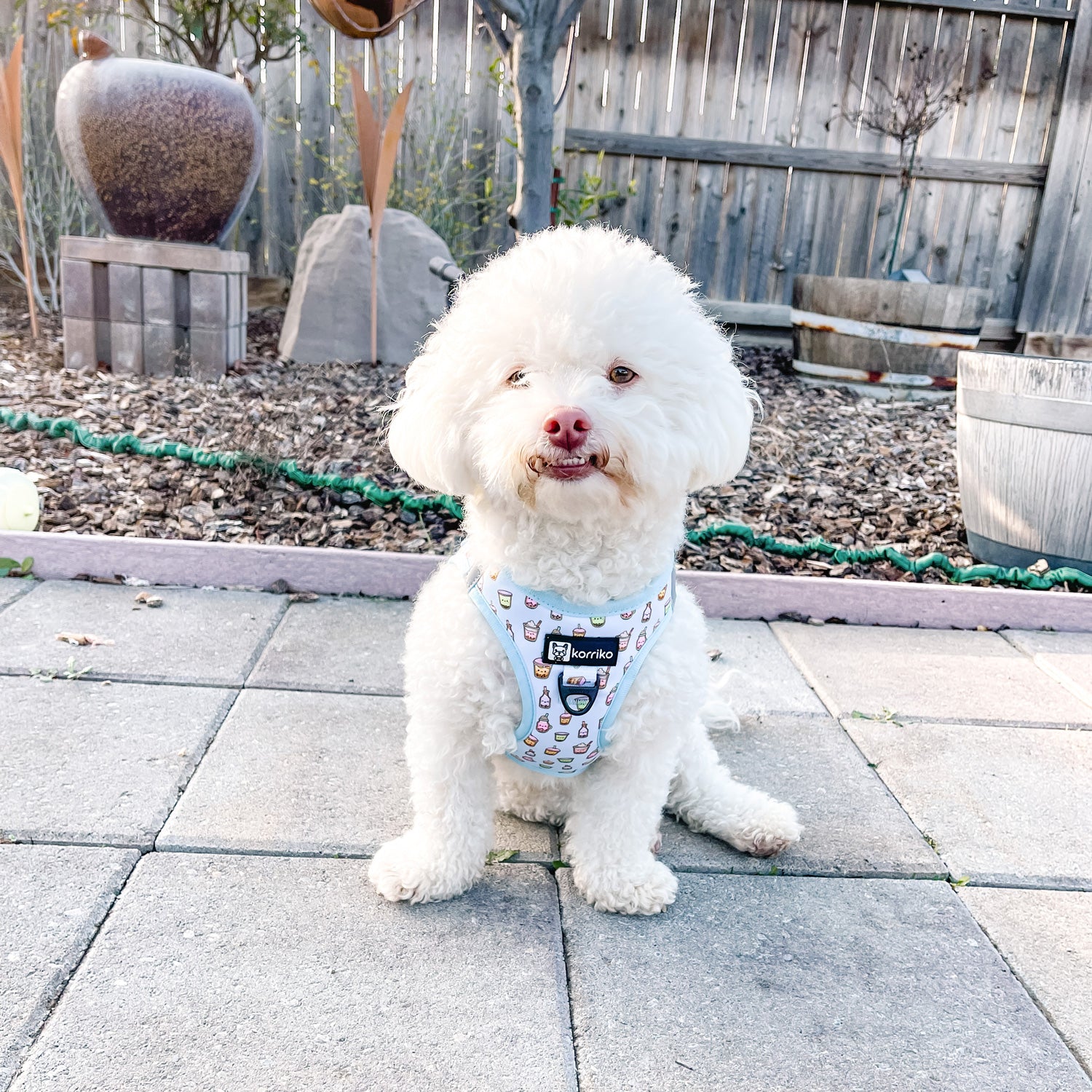 Step-In Dog Harness - Boba