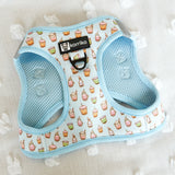 Step-In Dog Harness - Boba