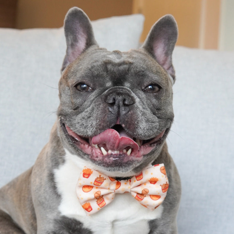 Ultimate Collar Bundle Set - Chicken & Waffles (4-Piece) (Final Sale)