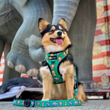 Adjustable Dog Harness - Safari (Final Sale)