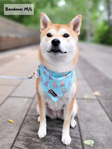 Ultimate Adjustable Harness Bundle Set - Dream Team (6-Piece) (Final Sale)