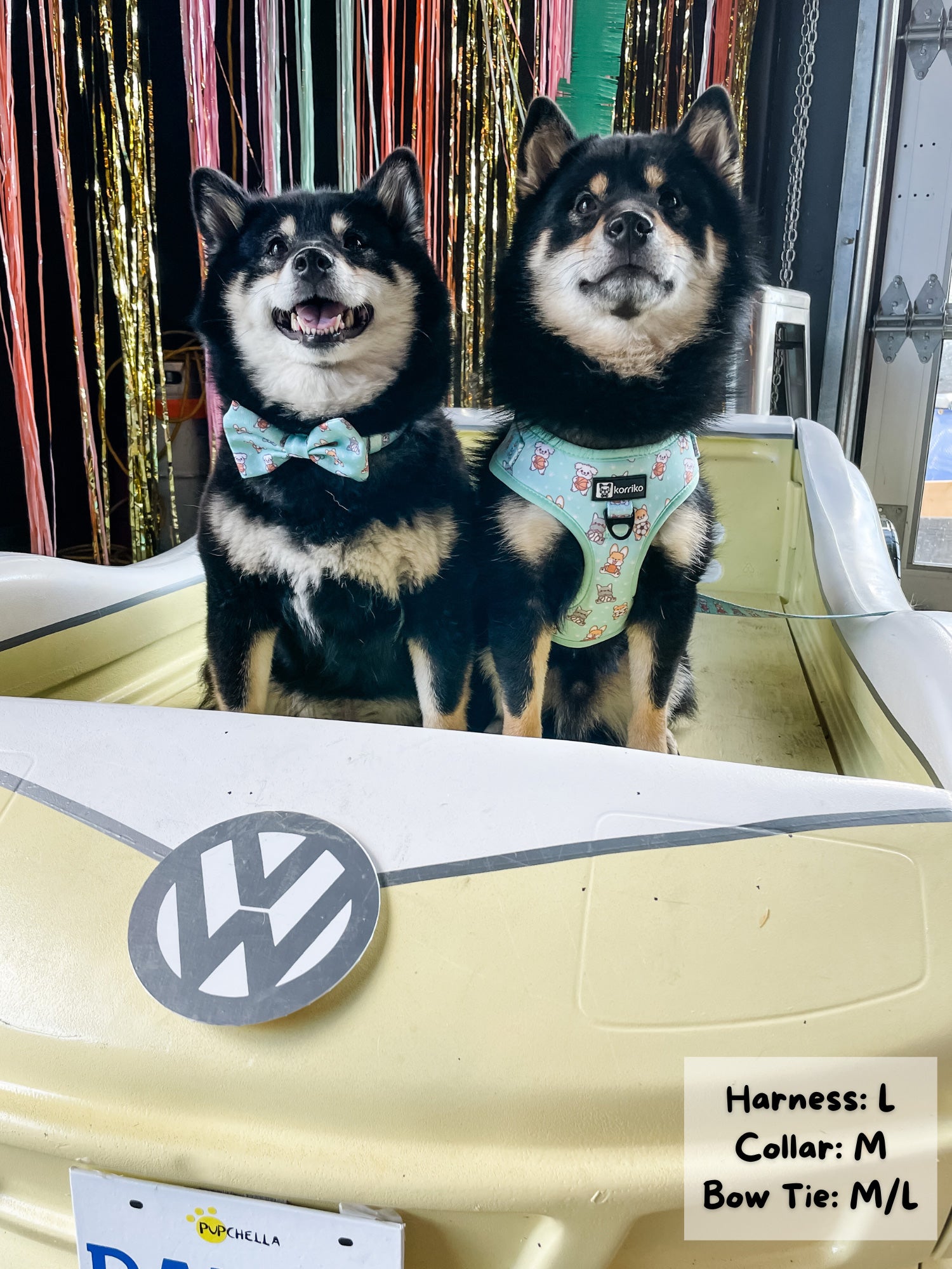 Adjustable Dog Harness - Dream Team (Final Sale)